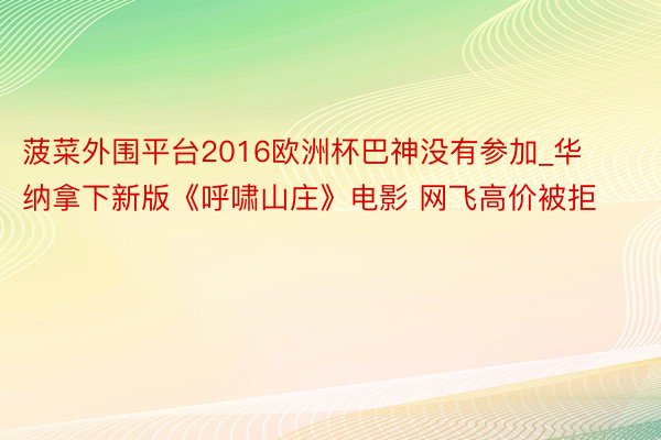 菠菜外围平台2016欧洲杯巴神没有参加_华纳拿下新版《呼啸山庄》电影 网飞高价被拒
